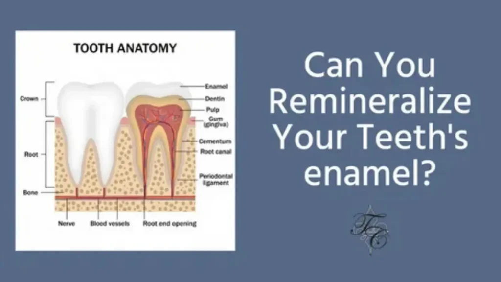 teeth names