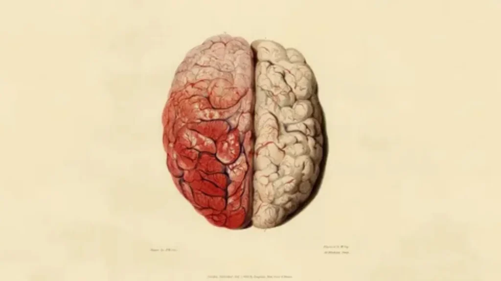 italian brainrot names