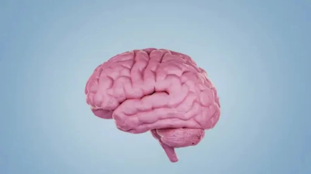 italian brainrot names