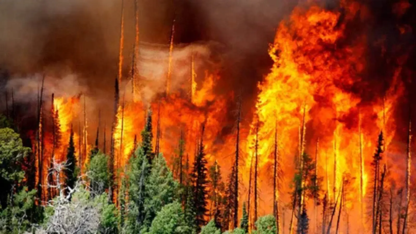 fire names