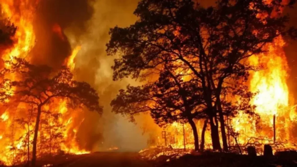 fire names