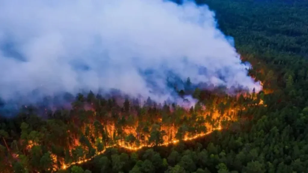 fire names