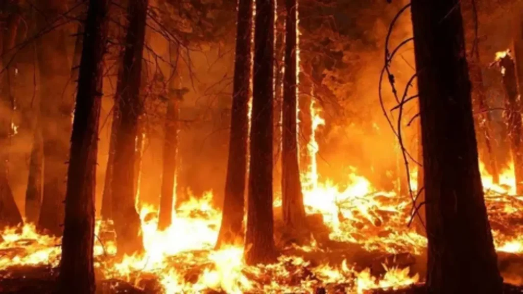 fire names