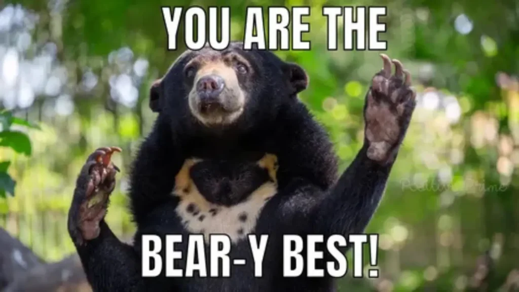 bear names