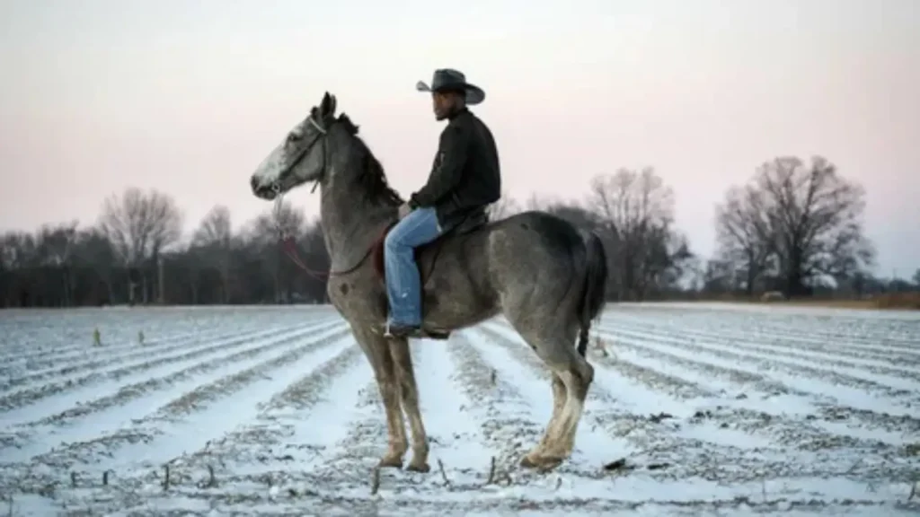 cowboy names