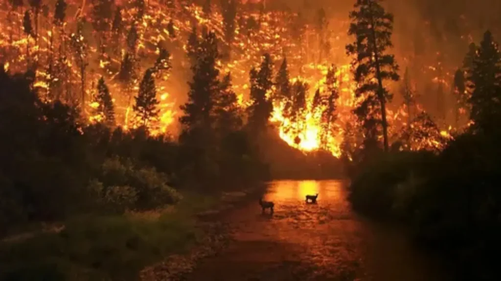 names that mean fire